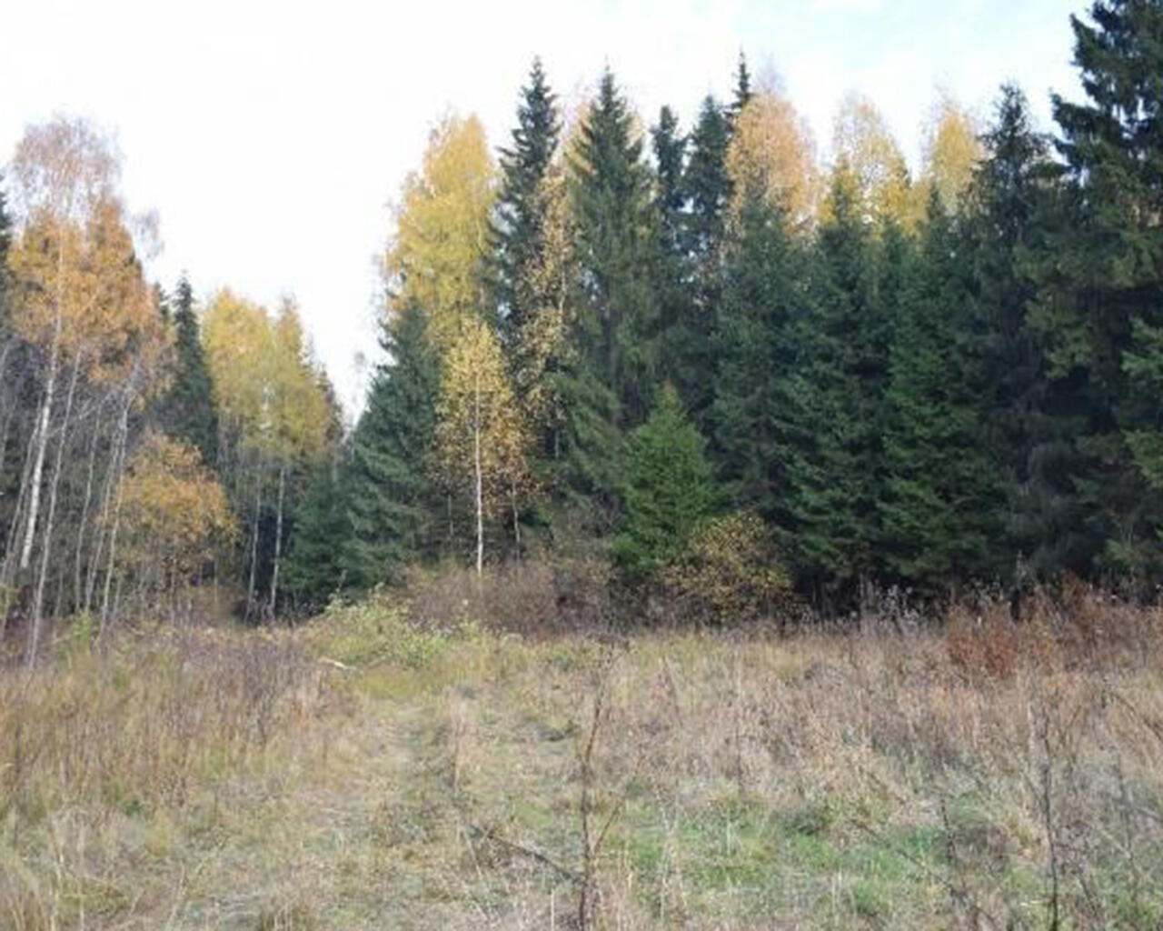 Купить Участок Дубки Одинцовский